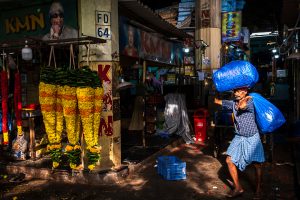 Rajesh M | The Flower Carrier